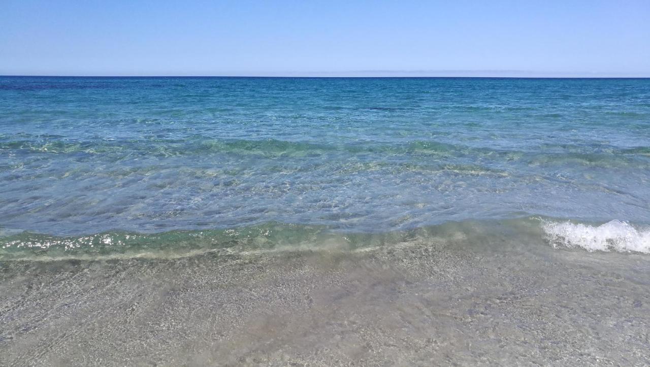 "Sutt'E Su Sole" - Vacanza Nel Cuore Della Sardegna Siamanna エクステリア 写真